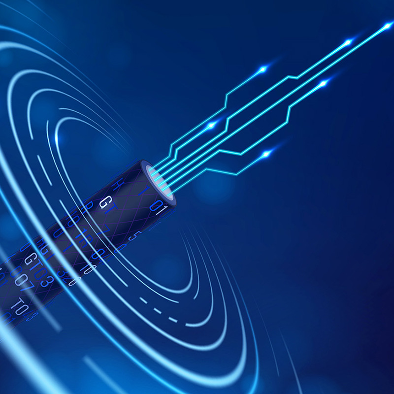 Lianou Electric présente des produits innovants à l'exposition internationale de l'électricité, à la pointe de la tendance verte